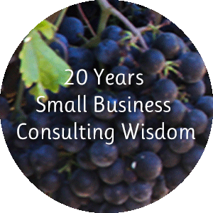 Sonoma County Business Consultants