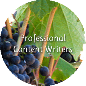 Sonoma County Content Writers
